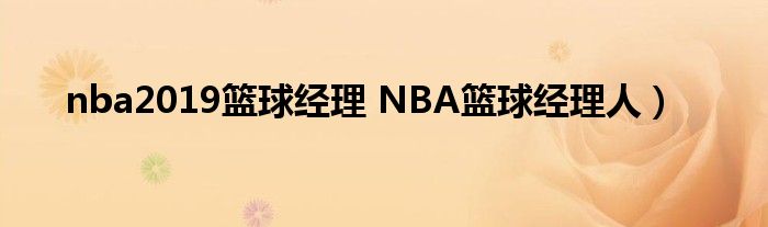 nba2019篮球经理 NBA篮球经理人）