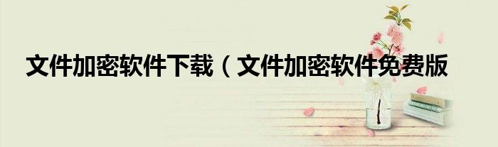 文件加密软件下载（文件加密软件免费版