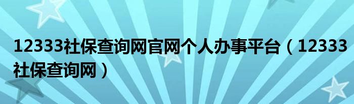 12333社保查询网官网个人办事平台（12333社保查询网）