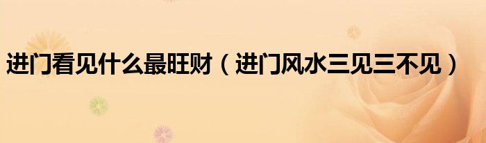 进门看见什么最旺财（进门风水三见三不见）