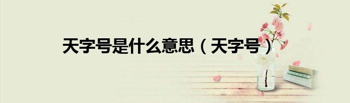 天字号是什么意思（天字号）