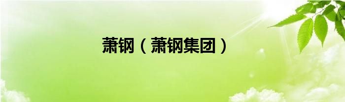 萧钢（萧钢集团）