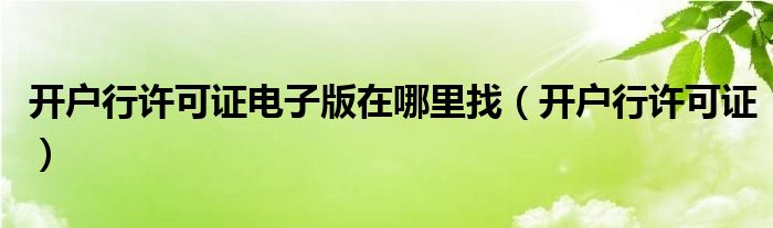 开户行许可证电子版在哪里找（开户行许可证）