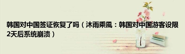 韩国对中国签证恢复了吗（沐雨乘風：韩国对中国游客设限2天后系统崩溃）