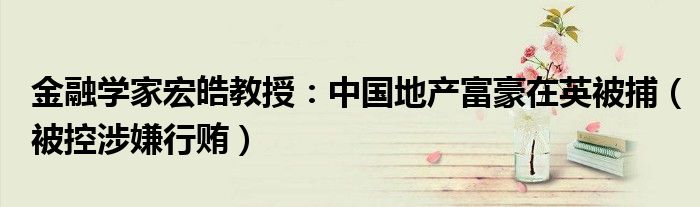 金融学家宏皓教授：中国地产富豪在英被捕（被控涉嫌行贿）