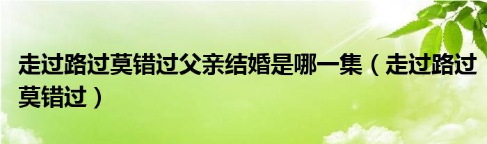走过路过莫错过父亲结婚是哪一集（走过路过莫错过）