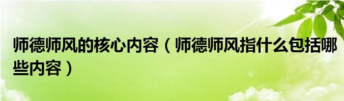 师德师风的核心内容（师德师风指什么包括哪些内容）