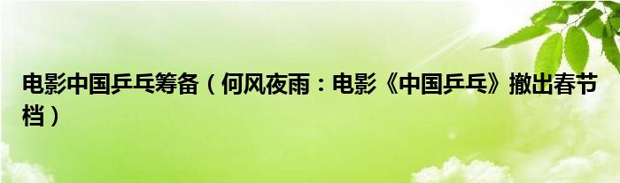 电影中国乒乓筹备（何风夜雨：电影《中国乒乓》撤出春节档）