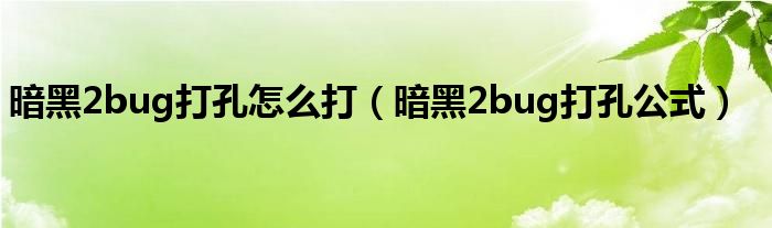 暗黑2bug打孔怎么打（暗黑2bug打孔公式）