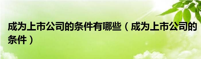 成为上市公司的条件有哪些（成为上市公司的条件）