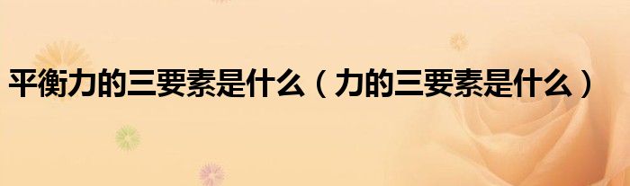 平衡力的三要素是什么（力的三要素是什么）