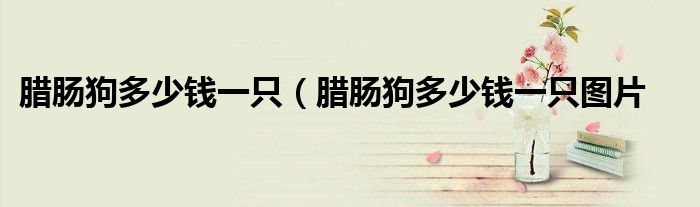 腊肠狗多少钱一只（腊肠狗多少钱一只图片