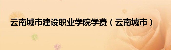 云南城市建设职业学院学费（云南城市）