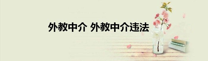 外教中介 外教中介违法
