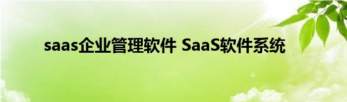 saas企业管理软件 SaaS软件系统