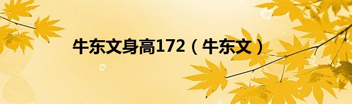 牛东文身高172（牛东文）