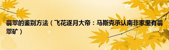 翡翠的鉴别方法（飞花逐月大帝：马斯克承认南非家里有翡翠矿）