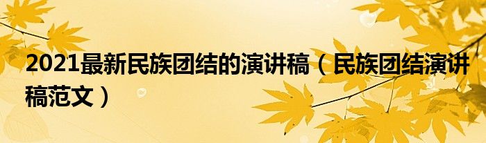 2021最新民族团结的演讲稿（民族团结演讲稿范文）