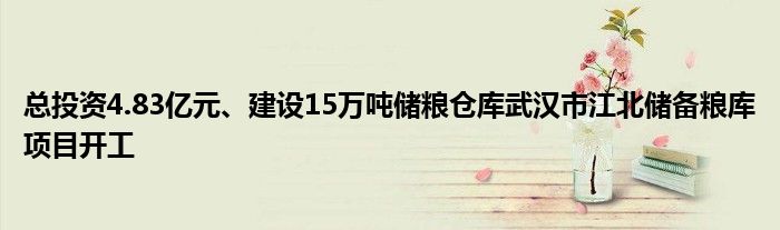 总投资4.83亿元、建设15万吨储粮仓库武汉市江北储备粮库项目开工