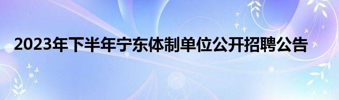 2023年下半年宁东体制单位公开招聘公告