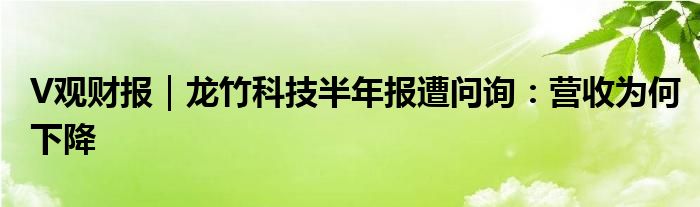 V观财报｜龙竹科技半年报遭问询：营收为何下降