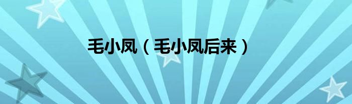 毛小凤（毛小凤后来）