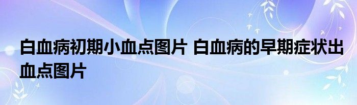 白血病初期小血点图片 白血病的早期症状出血点图片