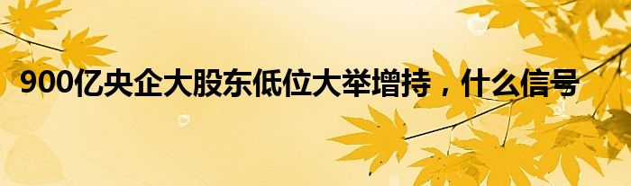 900亿央企大股东低位大举增持，什么信号