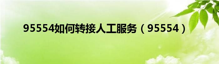 95554如何转接人工服务（95554）