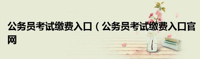 公务员考试缴费入口（公务员考试缴费入口官网