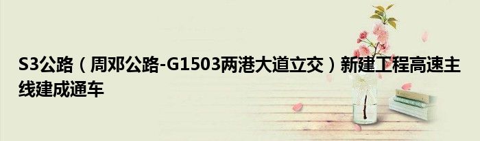 S3公路（周邓公路-G1503两港大道立交）新建工程高速主线建成通车