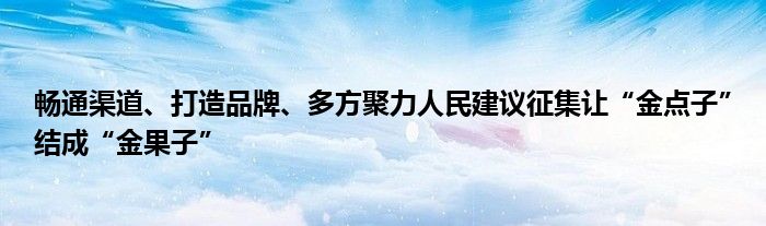 畅通渠道、打造品牌、多方聚力人民建议征集让“金点子”结成“金果子”