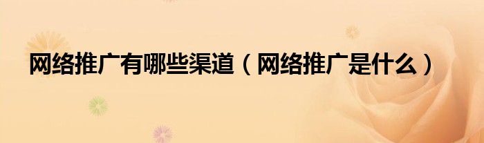 网络推广有哪些渠道（网络推广是什么）