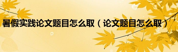 暑假实践论文题目怎么取（论文题目怎么取）