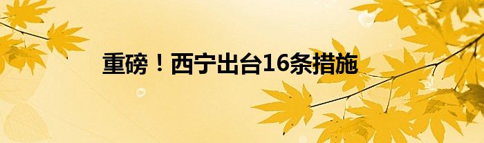 重磅！西宁出台16条措施