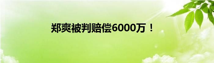 郑爽被判赔偿6000万！