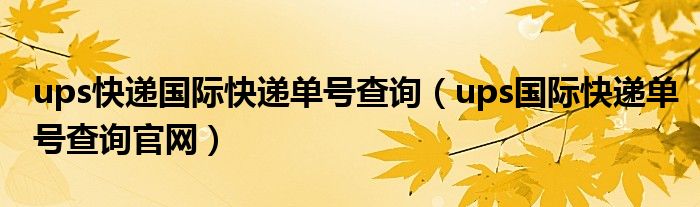 ups快递国际快递单号查询（ups国际快递单号查询官网）