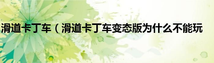 滑道卡丁车（滑道卡丁车变态版为什么不能玩