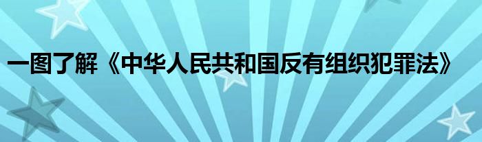 一图了解《中华人民共和国反有组织犯罪法》