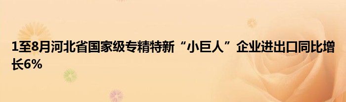 1至8月河北省国家级专精特新“小巨人”企业进出口同比增长6%