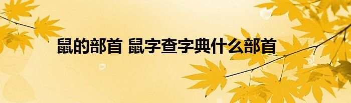 鼠的部首 鼠字查字典什么部首