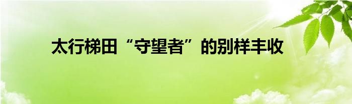 太行梯田“守望者”的别样丰收