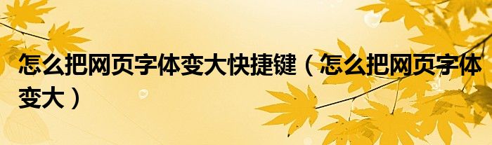 怎么把网页字体变大快捷键（怎么把网页字体变大）