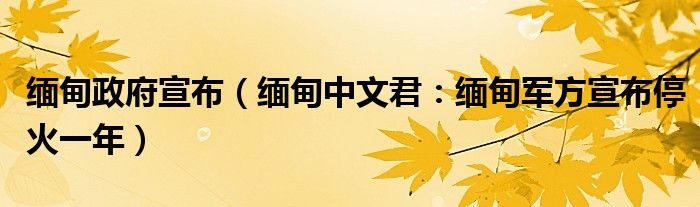 缅甸政府宣布（缅甸中文君：缅甸军方宣布停火一年）