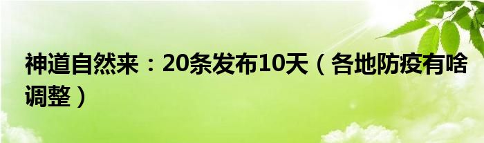 神道自然来：20条发布10天（各地防疫有啥调整）