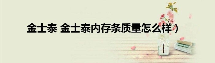 金士泰 金士泰内存条质量怎么样）