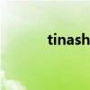 tinashe 男友（tina是男是女）
