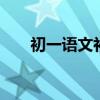 初一语文补习 初一语文补课该补什么