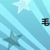 毛小凤（毛小凤后来）