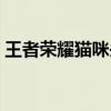 王者荣耀猫咪头像（王者荣耀猫咪头像大全）